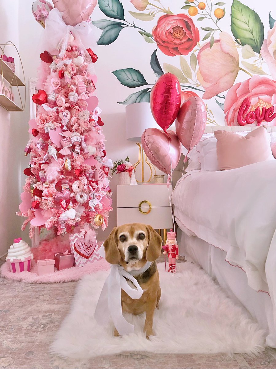 BeagleTopazthe's tweet photo. Hi everybuddy! I iz modelling fer Mama again @DecoratorDiva1 I gots so many treets fer looking cute!๐๐ถ๐ฅ๐ฆด
#DogsInDecor #ValentinesDecor #BeagleLife #DogModel #FlowerLovers #PinkLover #PinkValentines #SweetDog #BeagleLife @beaglefacts https://t.co/euTcxAcr9D