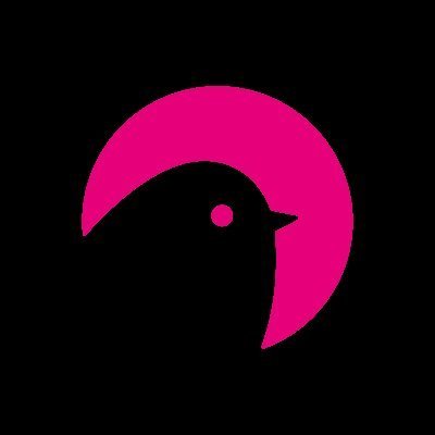 andrew tweet media