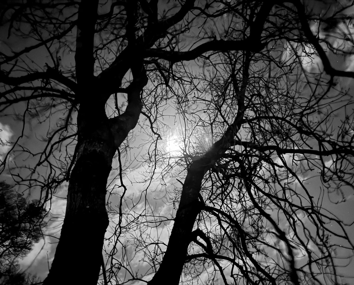 LJPDigitalPhoto's tweet photo. Thanks for all my most recent followers to my page! 

Browse through my #Photos and message me directly any questions you have! 

📸 ~ #LJPDigitalPhotography ~ 📸

All support is greatly appreciated, supporting #freelance creatives…

- @richpokers
- @jo_savin41273
- @helene_wpli
- @DJFrankieHolmes
- @unyiandson123
- @bibikong 

Hope you enjoy my #photograghy content! 

✌️