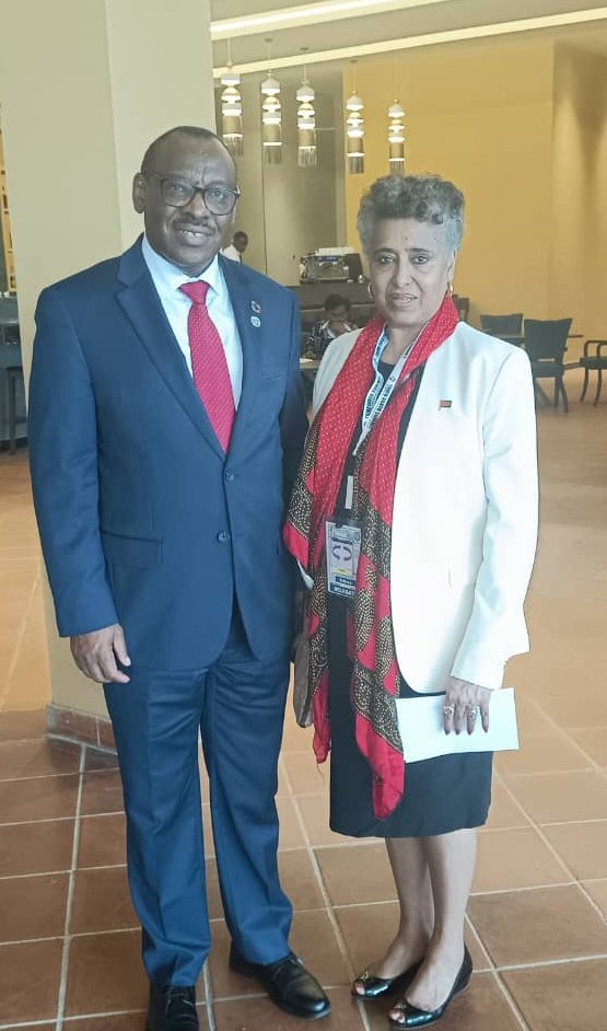 ECA_OFFICIAL's tweet photo. Happy to see @AmbStesfamariam and agreed to strengthen @ECA_Official partnership with #Eritrea on its development efforts. https://t.co/l8WC3gT9lr