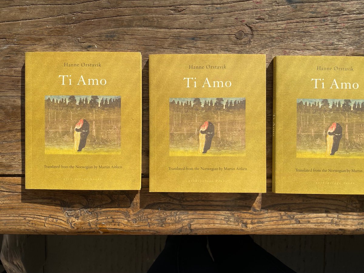 We're thrilled to announce that Hanne Ørstavik’s Ti Amo, translated from Norwegian by Martin Aitken, has been longlisted for the prestigious Dublin Literary Award! Our warmest congratulations to Hanne Ørstavik and her translator, Martin Aikten, on this mesmeric book.