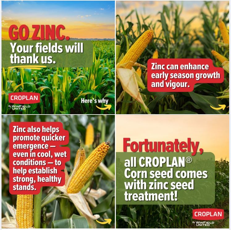Ever wonder what sets #CROPLAN 🌽 apart?  We are the only seed company in #EastCdnAg that uses Zinc as part of our standard seed treatment offering!  Including zinc in your corn starter is important, having zinc as a seed treatment is our gift to you! 🏅🌽  #WinFieldUnitedCanada