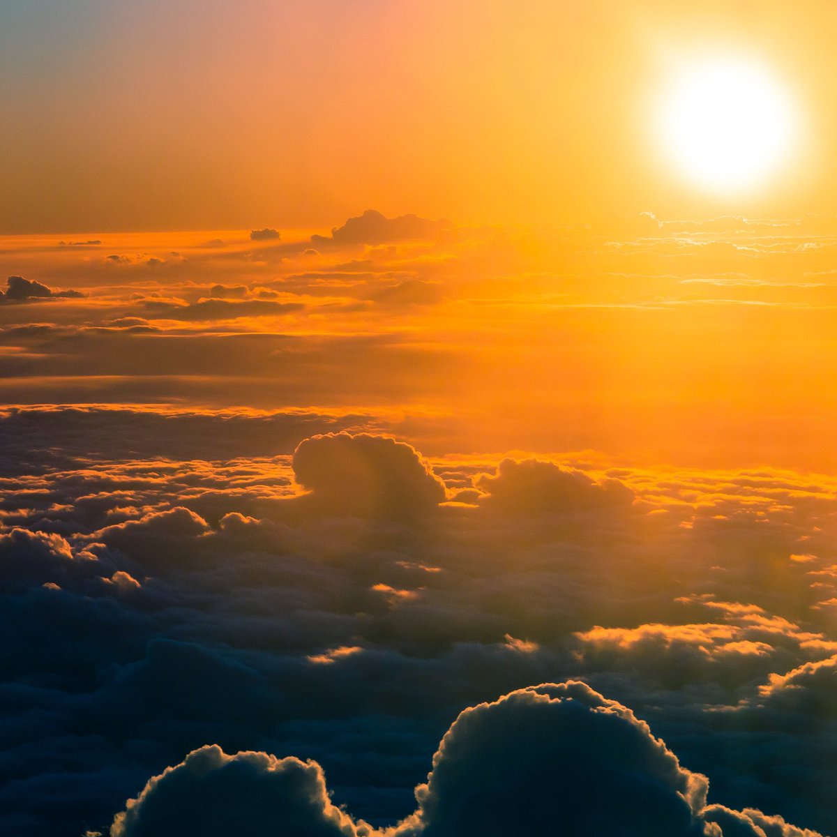 LeeAnneGibbon1's tweet photo. I hope today was a day of changes for you. No matter how small. "As far as the east is from the west, so far has He removed our transgressions from us." (Psalm 103:12) 💜 Evening greetings from Africa. #sunsetimages https://t.co/M3BYJRdhuh
