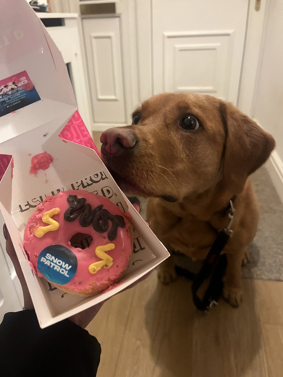 Jonny Gilberthorpe tweet media