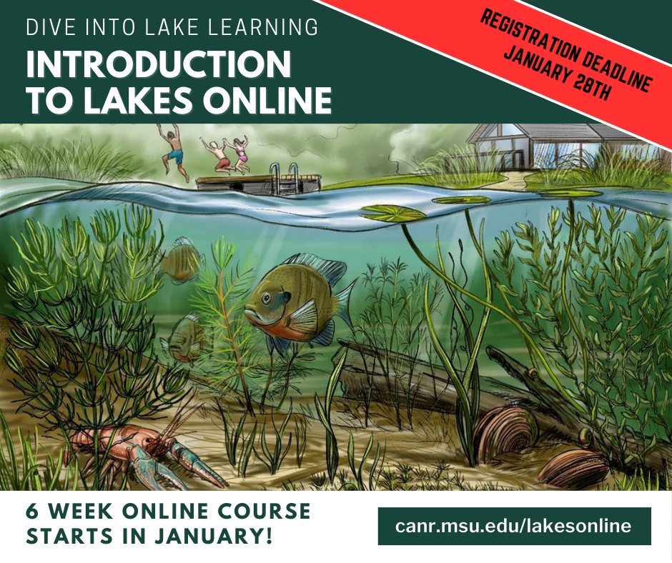 Mich_Lakes's tweet image. Last chance to sign up for the Introduction to Lakes Online class from @MSUExtension!
Registration closes on January 28.
canr.msu.edu/courses/introd…
#MacrophyteMonday #limnology