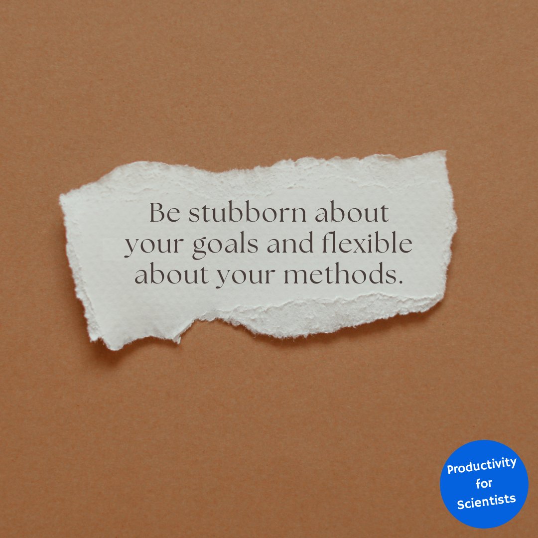 #MondayMotivation ✨ Sometimes the secret to success is thinking outside the box & trying something you've never tried before! 👌 My 'Get your #writing done!' sessions kick off on 5th Feb! 🚀💙 Learn more & sign up (from £35 🕊): tinyurl.com/writingspring2… #phdchat #phd #postdoc