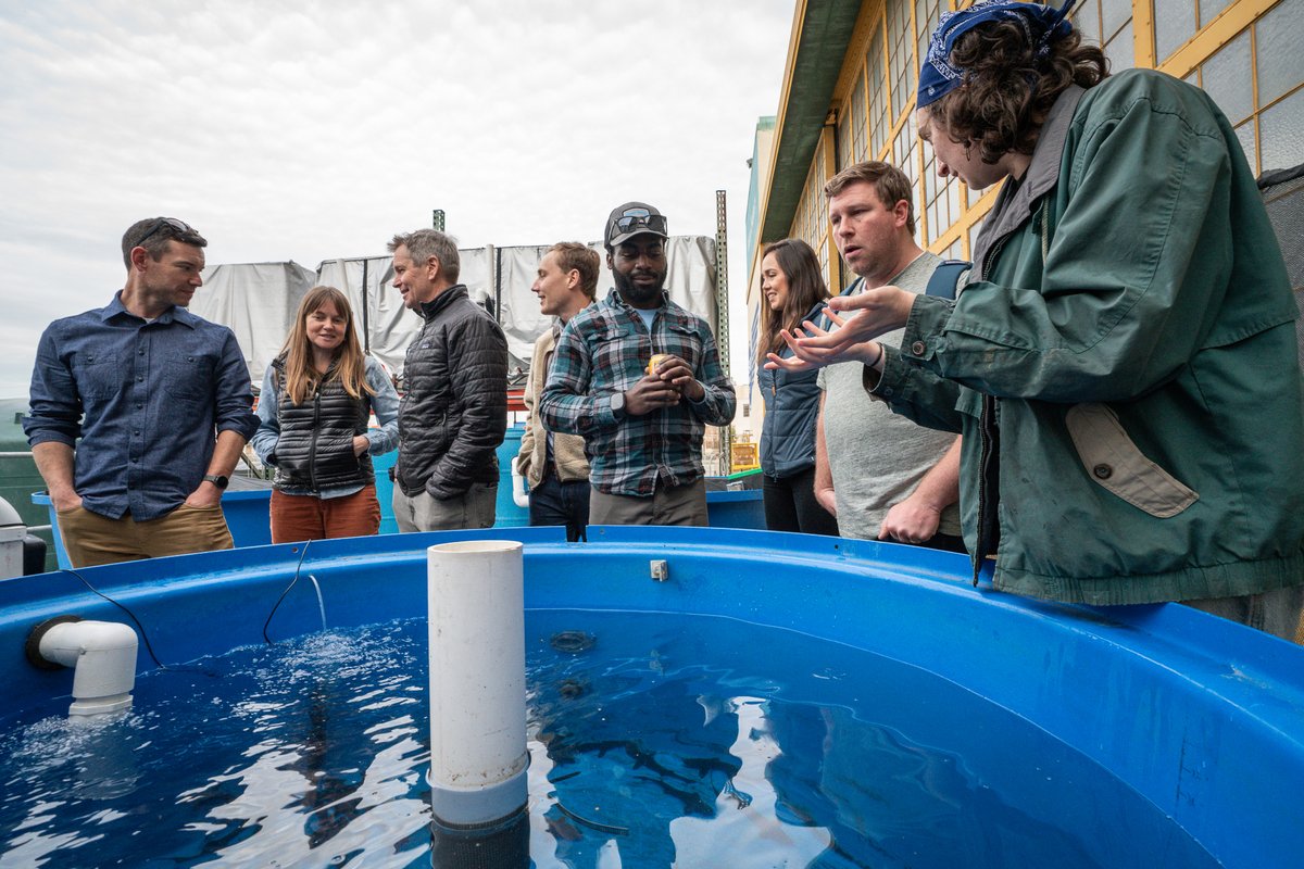 NatelEnergy's tweet image. Thanks to the fantastic team at @CalTrout for taking the time to come out and tour our #fishpassage testing facility and meet the sturgeon and salmon currently in residence!

#fishsafe #sustainablehydropower