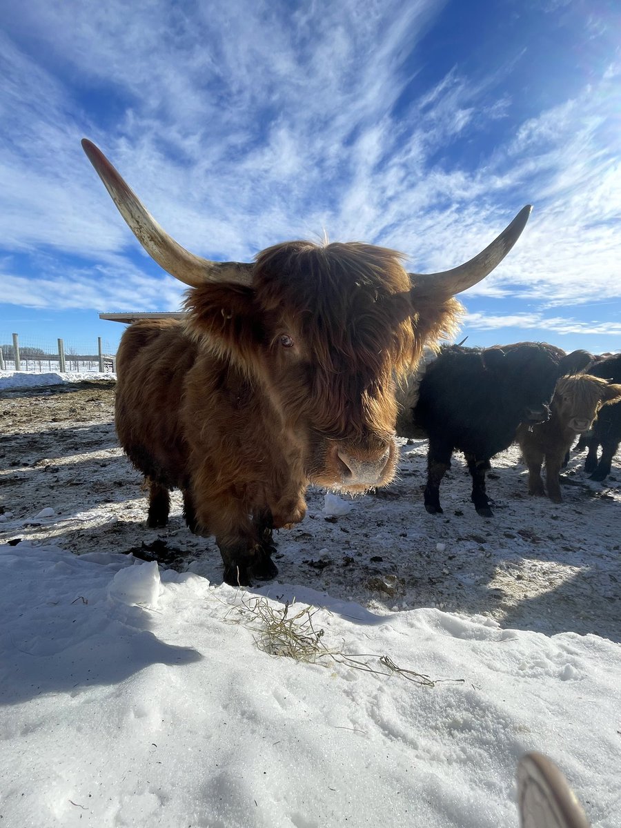 charmedComm's tweet image. Week-end fun. 
#HIGHLANDS