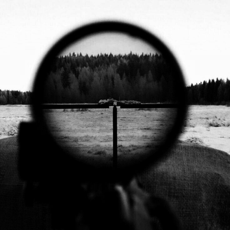 Warchillect's tweet image. 