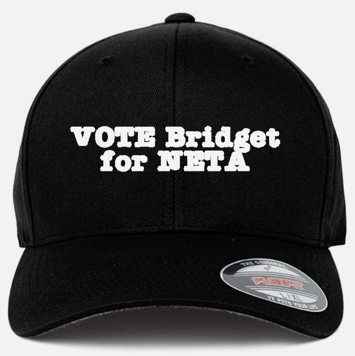 pdlindgren's tweet photo. Hey, @yourNETA members...voting emails have gone out.  Don't forget to vote for the candidates of your choice.

One of the many fine candidates that have "thrown their hat into the ring"... https://t.co/xcVRWfu7Av