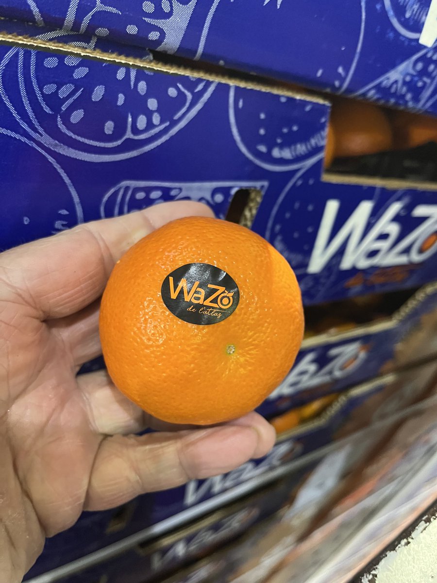 hars_uk's tweet photo. Another fantastic arrival #Wazo #Morocco #Fresh #Healthy #Vegan #EatMoreFruit #Flavour #Nadorcotts #GetSomeIn https://t.co/FIhWLOfKUM