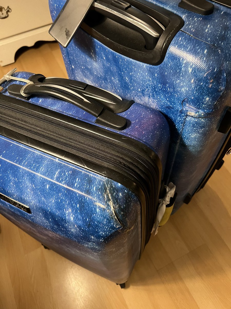 Melissa Hill Dees tweet media