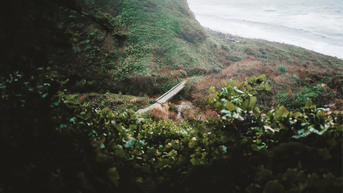 johncwingfield's tweet photo. The Washington coast, on 35mm film https://t.co/PrjTmAUyL5