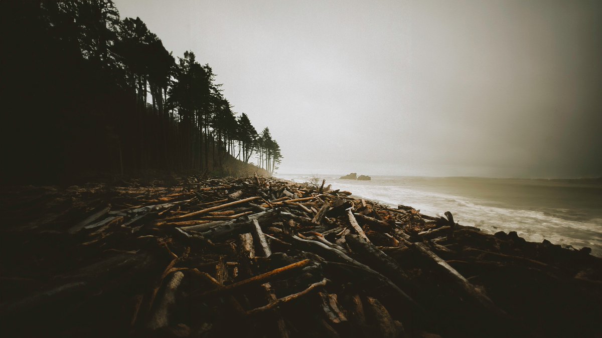 johncwingfield's tweet photo. The Washington coast, on 35mm film https://t.co/PrjTmAUyL5