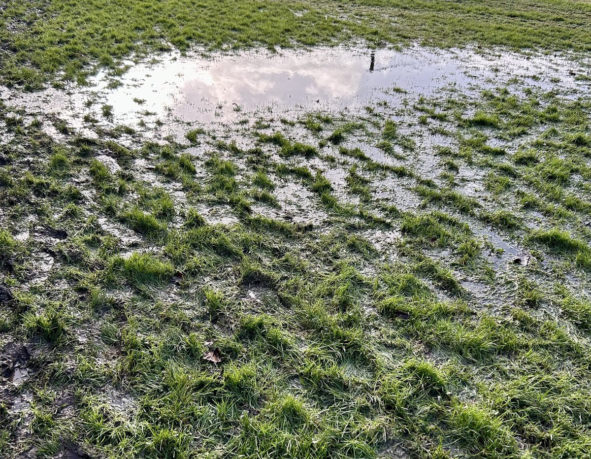 WinCollK's tweet image. A win and a loss in Sen VIs today. Lots of mud and water!