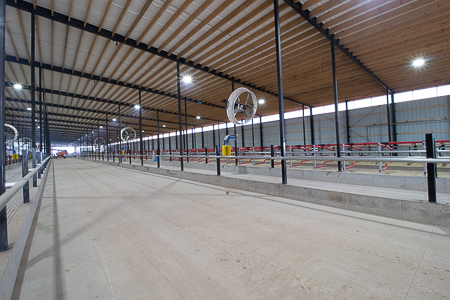 Performance_Fab's tweet image. Freestall Barn Building Package: 
Robot Dairy: Heeg Brothers Dairy  
Colby, WI
Features:
-129x500 Freestall Barn
-Structural Steel by our team here at Performance Fab

#structuralsteel #performancefab #welderfabricators #buildingpackage #steelbuilding