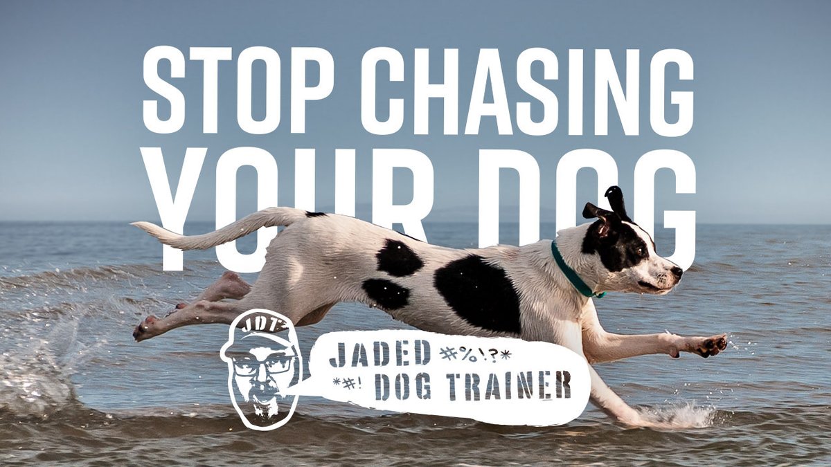 This week The Jaded Dog Trainer discusses commands that produce an undesired response. 

For further advice on training commands, find a trainer or watch videos, and be patient with recall training. It can be a slow process.  

Learn More: rayallen.com/blog/the-jaded…