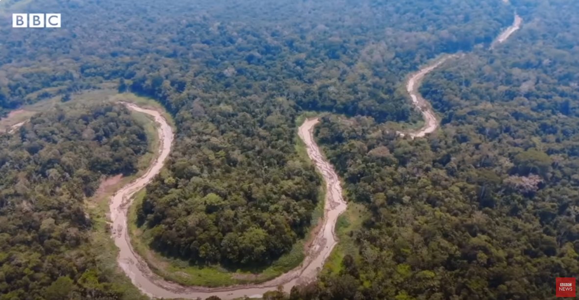 cgilsolorzano's tweet photo. Ríos secos y delfines muertos: las imágenes que muestran el avance de la sequía en el Amazonas
https://t.co/D1D6gQPMeU
@BBCWorld https://t.co/hksIeI55mH