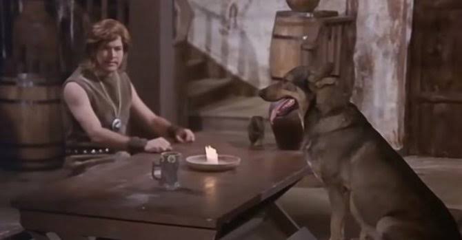 Cregan ve ben handa kımız ile kuzu budu beklerkene