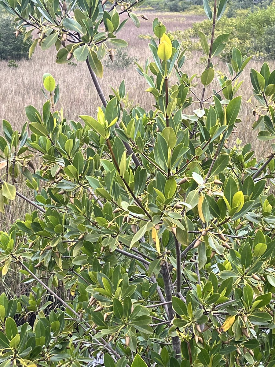 Fabulous day with Taylor  High. Thanks to the great teachers, students and chaperones ! Thanks Kelly Young, Zoey Zacharias and welcome home to Marsha Clark!!!