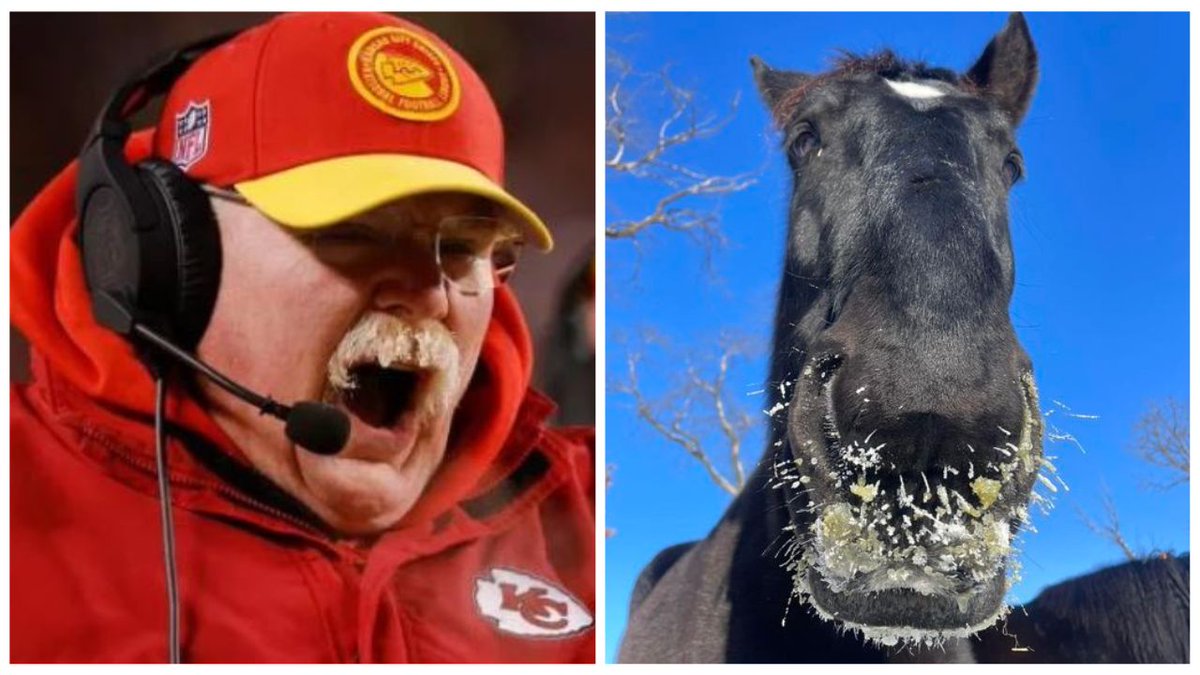 NFL coach Andy Reid’s frozen mustache topped headlines this past week. … But have you seen Cooper’s?! He is one of the horses on our Mounted Patrol Unit. Pretty sure he is giving Reid a run for his money! 🐴🥶🏈