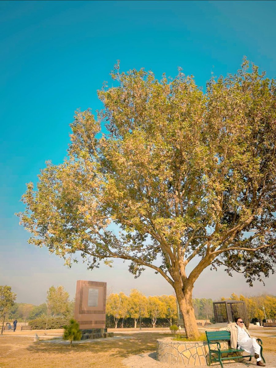 Wardasyedx's tweet photo. Embracing the simple joys🍂 https://t.co/E2y1GXjvmW