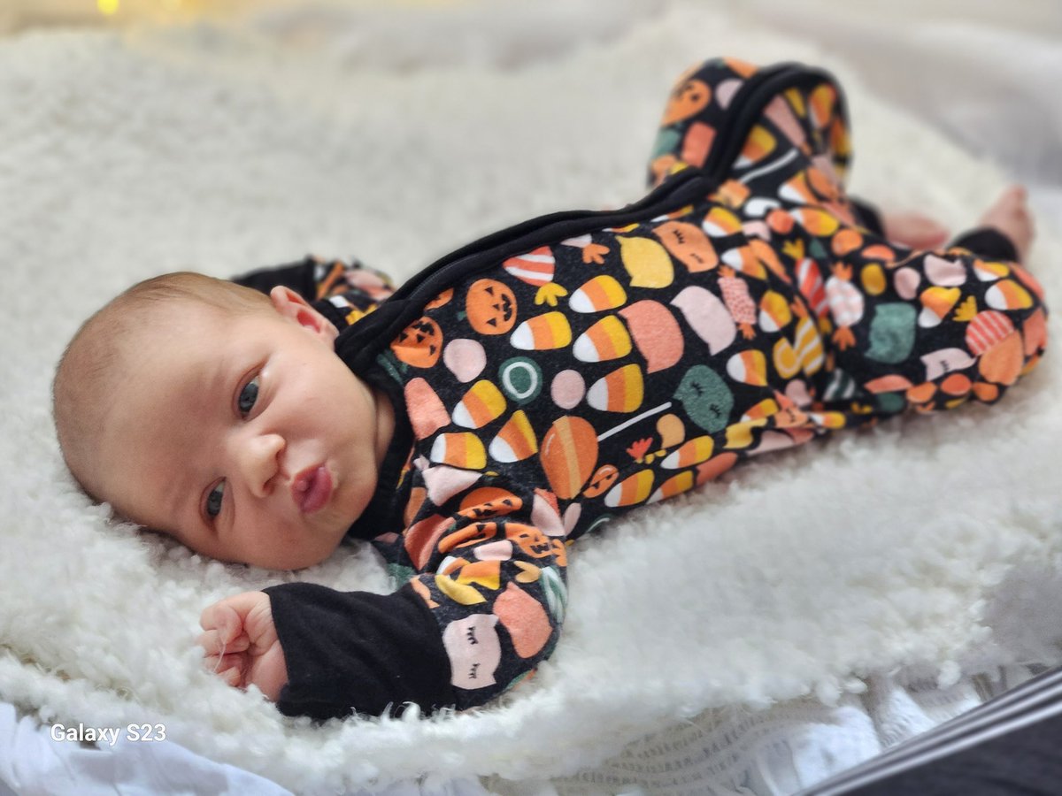 CaptainMJxx's tweet photo. 1 week- 4 months. 🥺 
You’re growing way too fast https://t.co/Ge6B7DdpVk