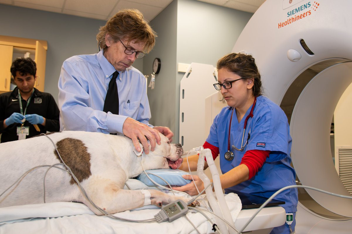 DartmouthRadOnc's tweet image. From impactful translational research to investigator-initiated studies and significant contributions to cooperative group trials, #dartmouthradonc is at the forefront of pioneering advancements. Ready to be part of a community that thrives on innovation?  #FLASH #cherenkov