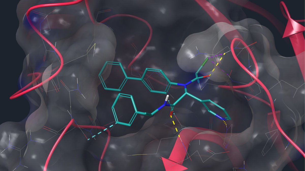 Domainex_UK's tweet photo. #Domainex is excited to announce an upgrade to our computational chemistry capabilities with the addition of Schrodinger’s #Maestro suite. Maestro provides access to cutting edge tools for molecular modelling including docking, molecular dynamics, and quantum mechanical methods. https://t.co/KOwp0a7HtT
