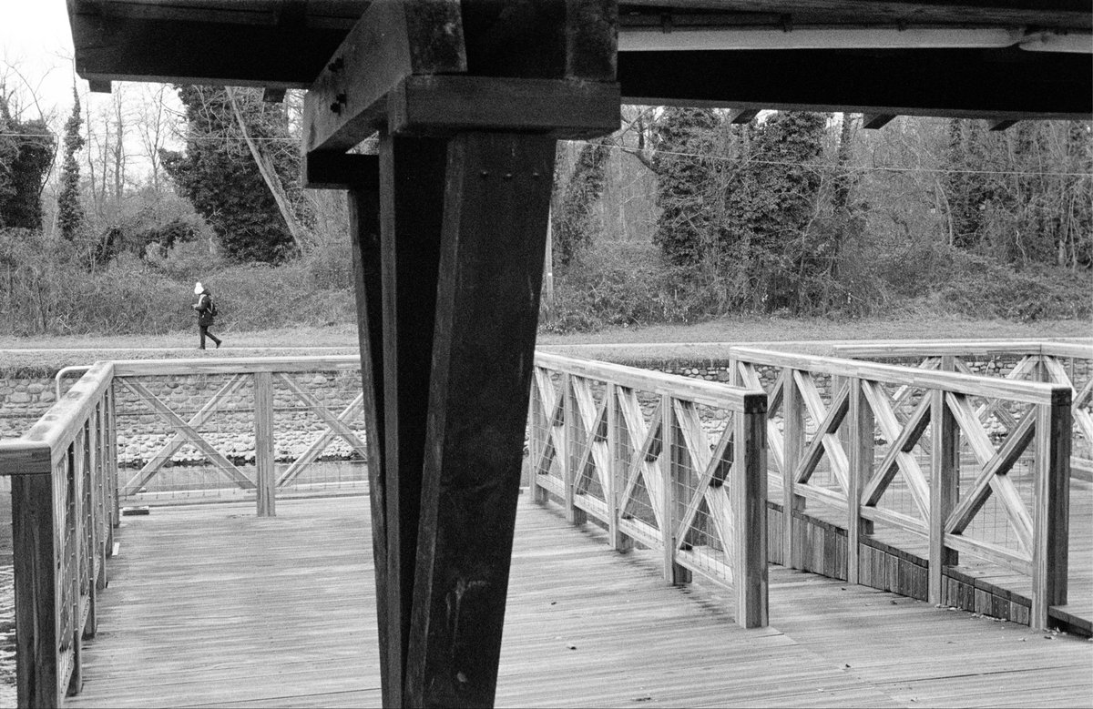 matt_ph21's tweet photo. I love this!
Here are mines (which happen to be monochrome too!)
🎞️ Rollei RPX 400
📷 Canon Canonet QL17 GIII
#maybemonday #monochromemonday #believeinfilm https://t.co/aTCC5Q2HC1
