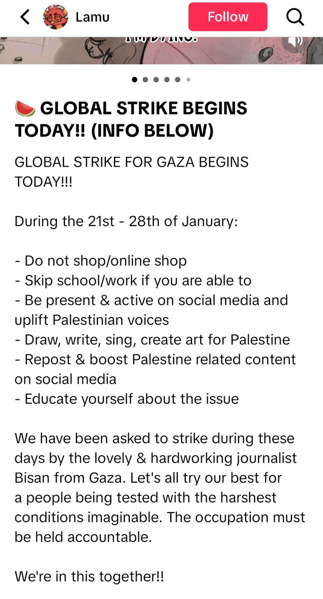 #GlobalStrikeForGaza #GlobalStrikeForPalestine  From the 21st to the 28th! During this time please show your support for those in Palestine 🇵🇸!! Below is a screenshot of what to do & not do during this time. Credit for the photo from Lamu on tiktok!!