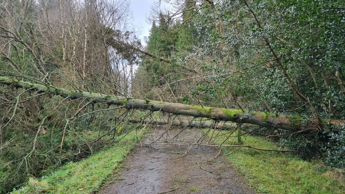 Causeway Council tweet media