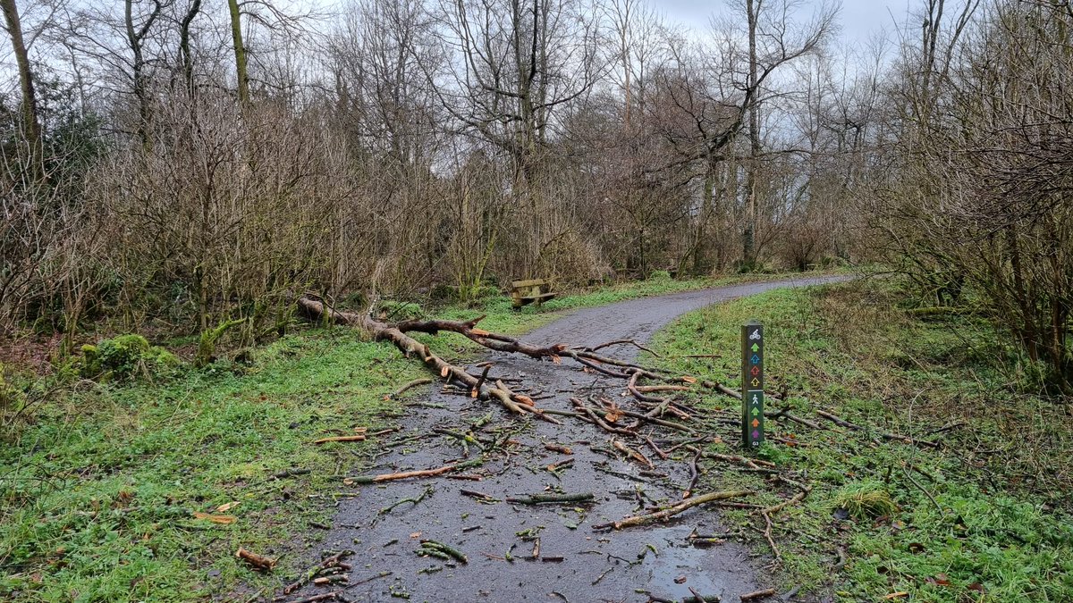 Causeway Council tweet media