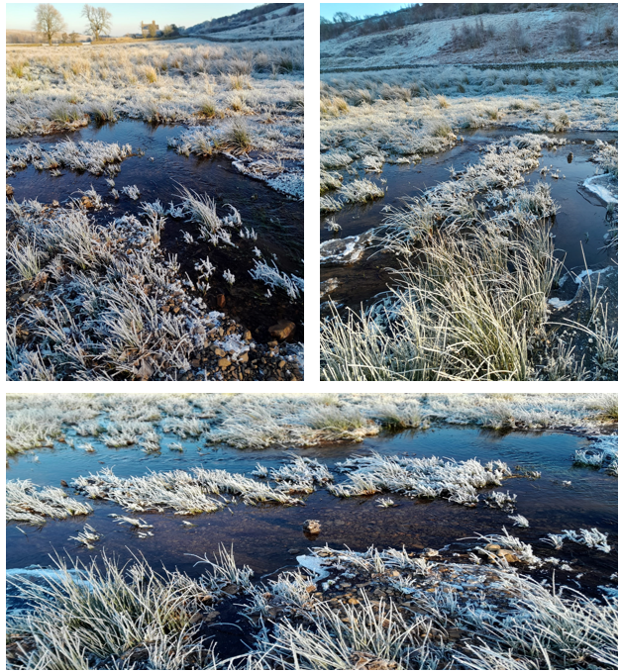 Forgot to acknowledge @jen_selvidge at @RSPBEngland who took the flowing water wetland image and these additional ones at the RSPB Geltsdale reserve.