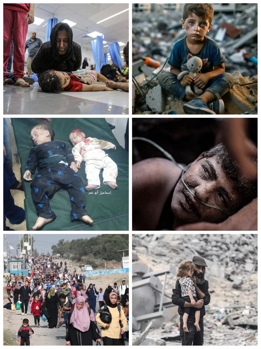 📌Hoy, el alto a la masacre que se suscita en Palestina es imperativo, impostergable...

🔔Hoy, el cese de ese genocidio sin precedentes es urgente porque la cuota de inocentes exterminados ha rebasado lo impensable...

📢Esto tiene que parar ‼️

#FreePalestine 
#DeZurdaTeam