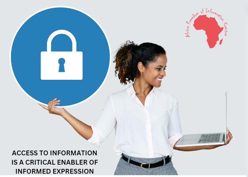 africafoicentre's tweet photo. Our strategies have included: #shadowreporting to treaty bodies like the Human Rights Council and the ACHPR; analysis of #draftbills and providing feedback to national #legislators.
Link to our shadow reports: https://t.co/KxzbDEZrJG https://t.co/hsklifIkPD