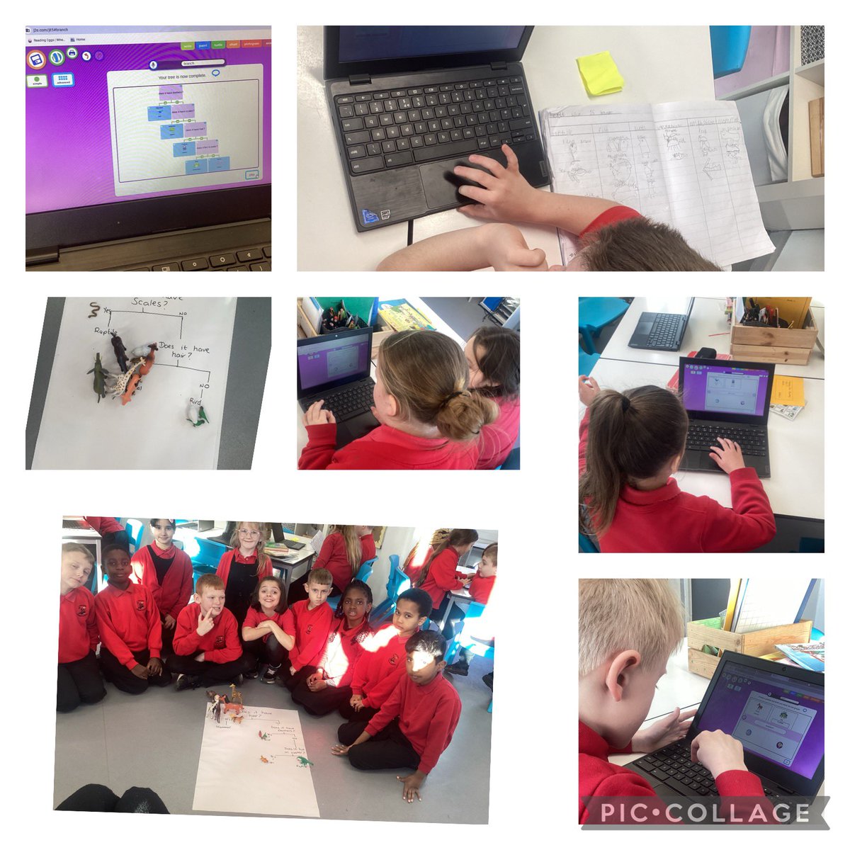 LliswerryPrim's tweet photo. #Year3 have been busy using #j2e to create branch diagrams to sort their animals. They have used the animal characteristics to help with their questions. Animals���🦋🦎🐅🐟 https://t.co/wo5BGpkrLE