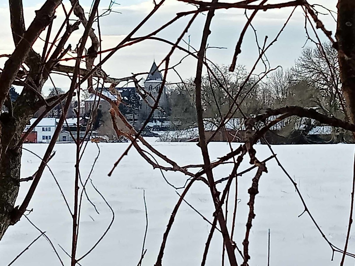 Hier, promenade dans la neige. Heureusement car aujourd'hui, plus rien du tout. Passage de -6 à +12 degrés en une nuit.