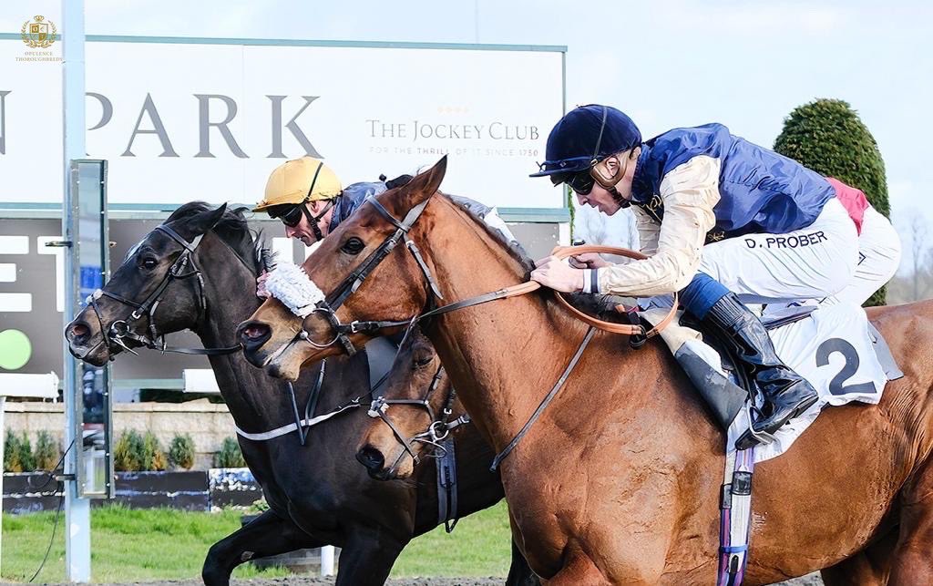 OpThoroughbreds's tweet photo. 🅦🅘🅝🅝🅔🅡 - Arctic Thunder breaks his maiden at @kemptonparkrace, closing on the leaders to win by a nose🥇 

A huge well done to the @AndrewBalding2 team, jockey @davidprobert9 and to all of his fantastic owners 🏆 

#OpulenceThoroughbreds https://t.co/7xVQH3n4ed