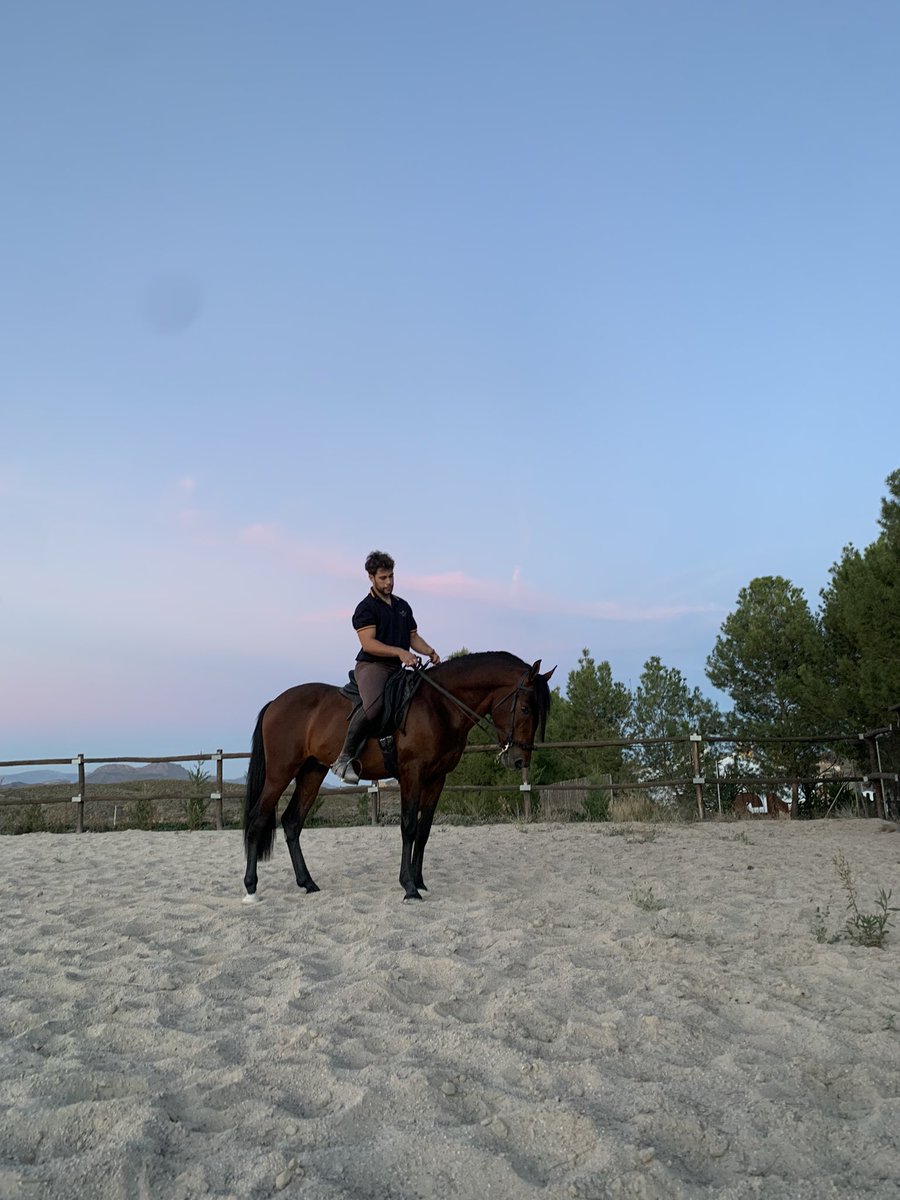 4Fran15's tweet photo. parte que lo que me has dejado tú. 
Pero como se dice, a veces cuanto más quieres a alguien decides que lo mejor es dejarlo ir, para seguir creciendo pero cada uno por su camino. Vas a ser un buen caballo, lo tengo claro, sólo espero que te cuiden la mitad que lo hubiese hecho yo https://t.co/cj2NH7ZhIz