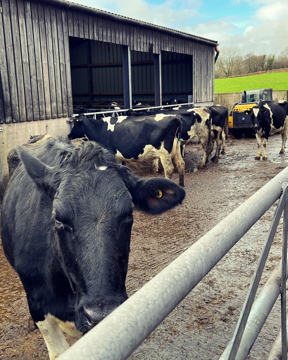 Meinir Howells tweet media