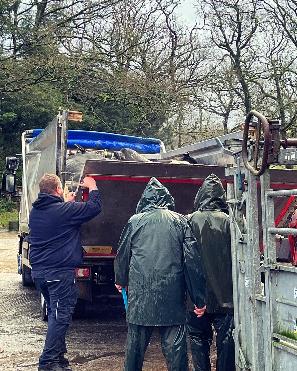 Meinir Howells tweet media