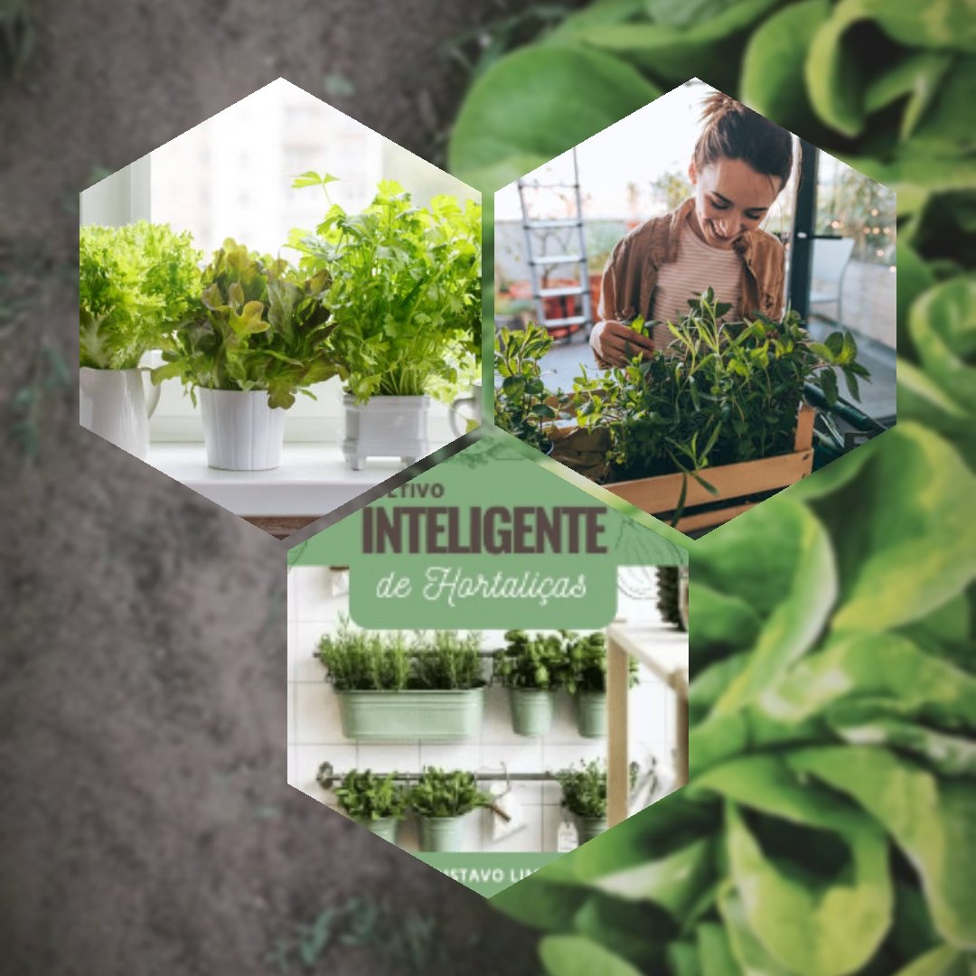 DeyseDdS's tweet photo. Use seu espaço limitado em um excelente mundo verde de hortaliças frescas com o e-book “Cultivo Inteligente” #cultive #hortalicas #verde #vegetais #ebook #cultivointeligente #dicas  https://t.co/FquGmV37Z8 https://t.co/18LyUGwrwY
