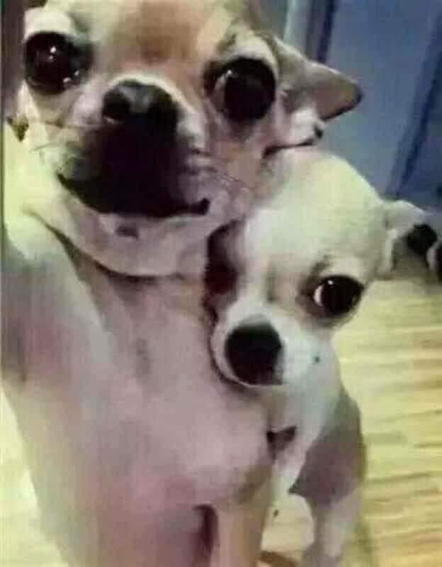 error_5477's tweet image. #Bitget贺新春
你若不離我必不棄