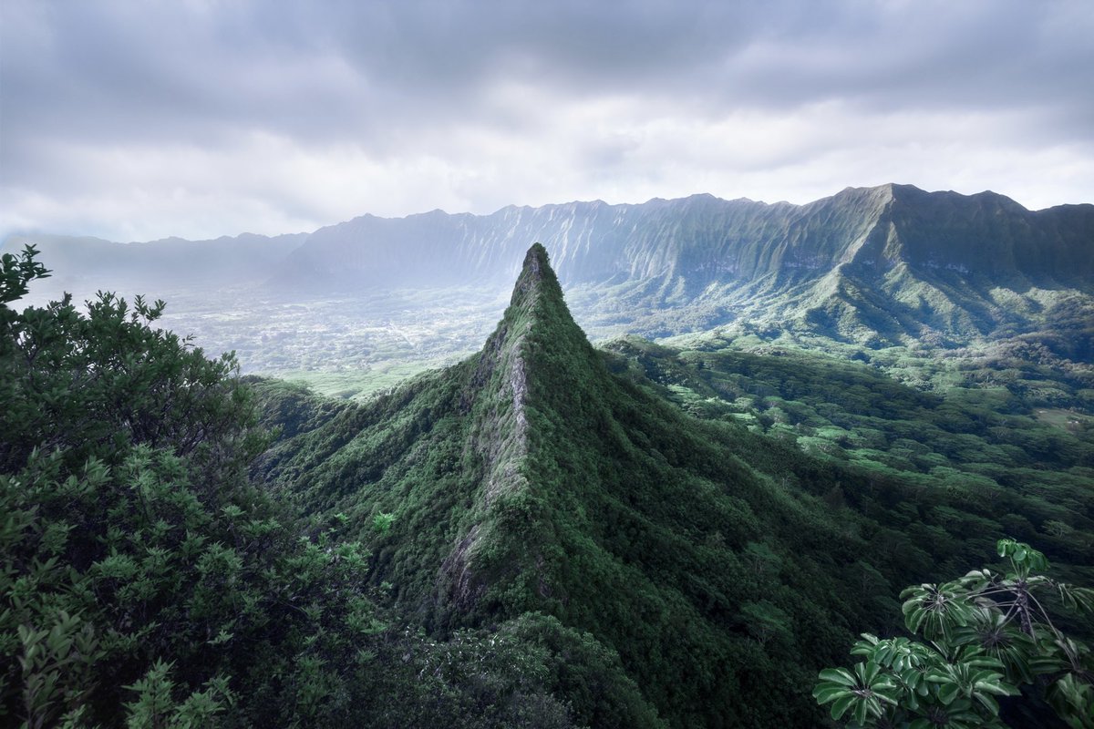 the photographer       vs.      the photograph