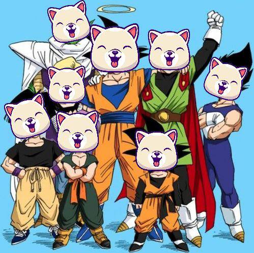 kishusol's tweet photo. $Kishu Inu's team is cooking bullish plans for the next few days. Stay tuned, be strong, stay bullish! 🐶🚀

#Kishu #Sol https://t.co/BPP3ABGsT2