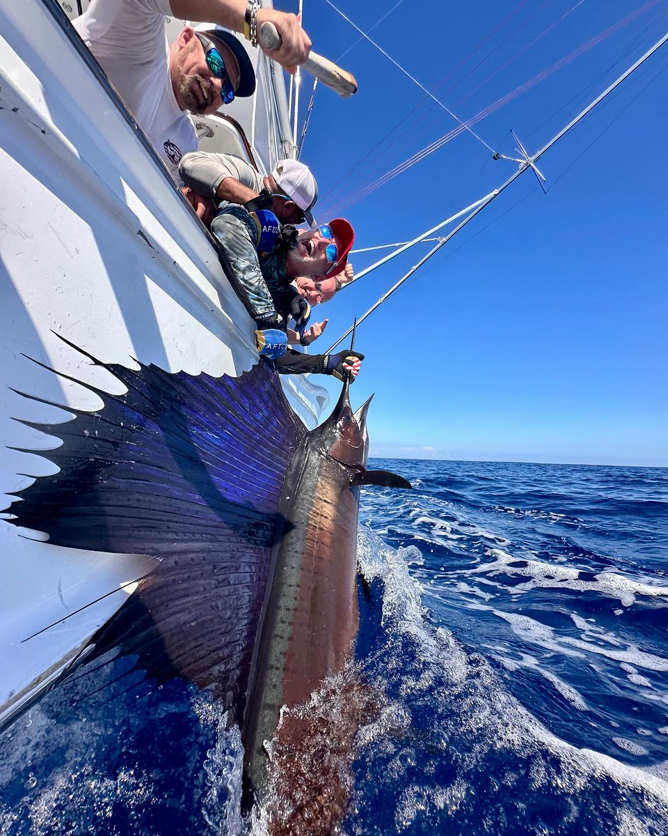 Los Suenos, CR - Sea Fly released 6 Sailfish.