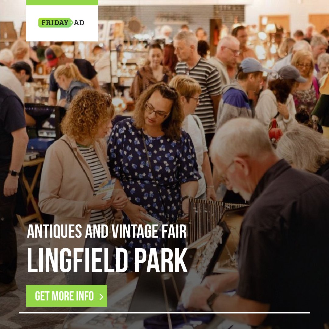 Friday-Ad tweet media