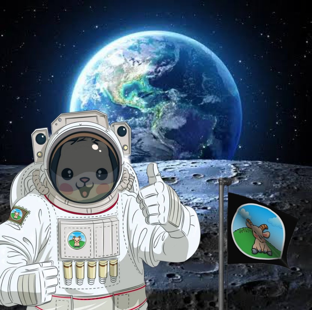GoatInu_Token's tweet photo. 🚨 WE ARE ON THE MOON! 🚨

TRIVIA: The very first goat who landed on the moon is Goat Inu, ticker is $GINU.

Additional info: Currently collecting address for the AIRDROP! Don't forget to check their Twitter 
@GoatInu_Token

#AIRDROP
#Solana 
#GINU
#GoatInu
#tothemoon https://t.co/IUFwKQKAs5