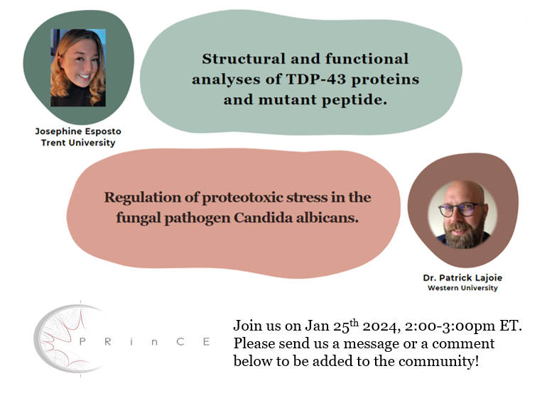 CdnProteostasis's tweet photo. PRinCE will be holding our first online seminar of 2024 this Thursday at 2pm ET! Josephine Esposto from Trent University and Dr. Patrick Lajoie from Western University will be sharing their current research! Please send us a message or comment below for the zoom link. https://t.co/4khWTn17vp
